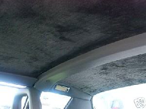 qa0395g.jpg