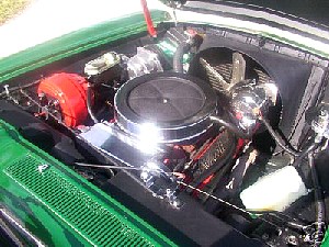 qa0395i.jpg