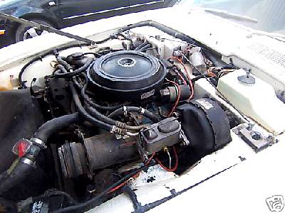 82qb3334x0109d.jpg