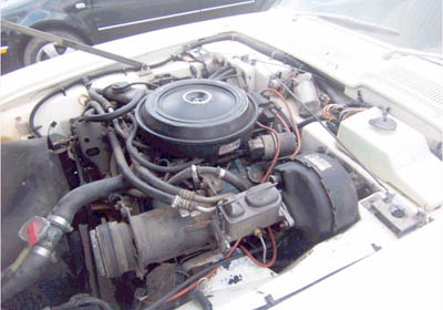 82qb3334x0909f.jpg