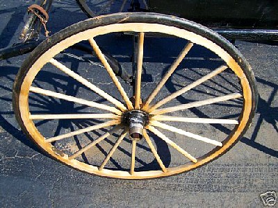 1895drbcg.jpg