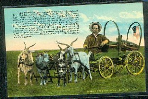 goatwagon1.jpg