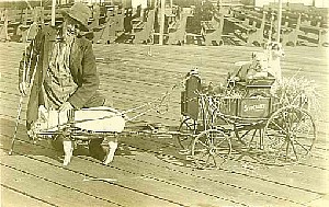 ph297.jpg