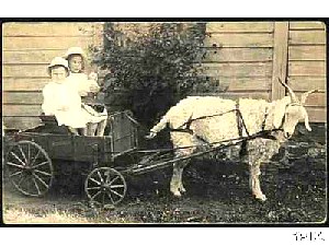 wagondd.jpg