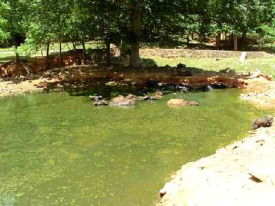 09604n.jpg