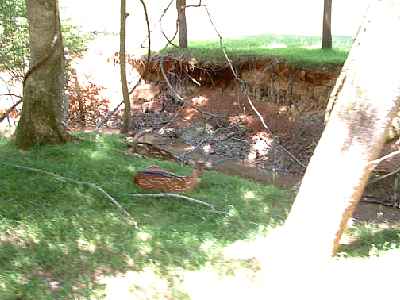 09604q.jpg
