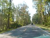 df0033.jpg
