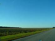 df0124.jpg