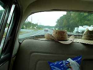 d060805a.jpg