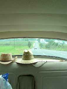 d060805b.jpg