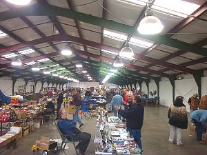 dsc05787.jpg