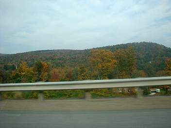 DSC08337.jpg