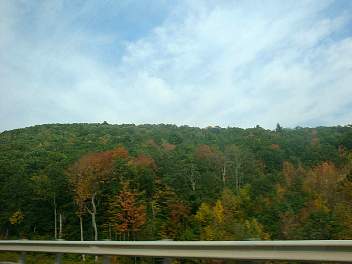DSC08338.jpg
