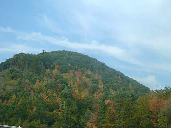 DSC08339.jpg