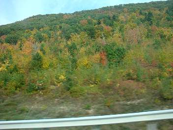 DSC08340.jpg