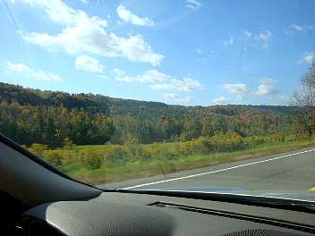 DSC08363.jpg