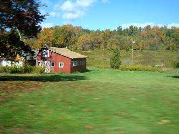 DSC08374.jpg
