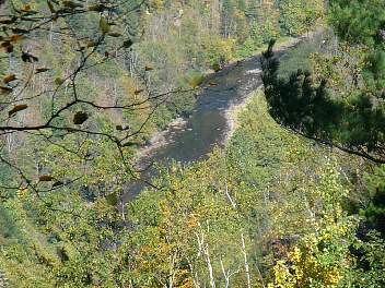 DSC08397.jpg