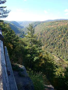DSC08402.jpg