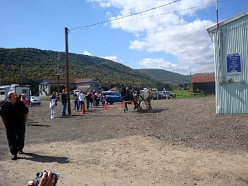 DSC08435.jpg