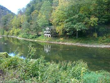 DSC08450.jpg