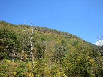 DSC08455.jpg