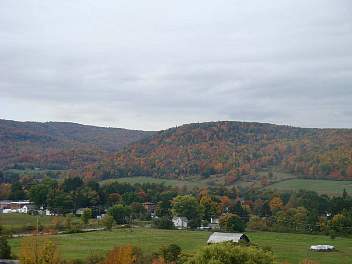 DSC08507.jpg