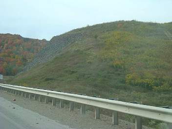 DSC08509.jpg