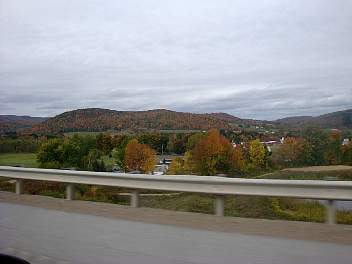 DSC08510.jpg