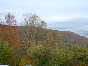 DSC08511.jpg
