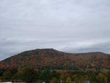 DSC08512.jpg