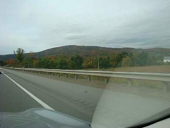 DSC08513.jpg