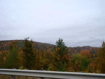 DSC08515.jpg