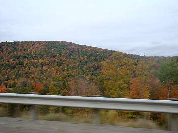DSC08517.jpg