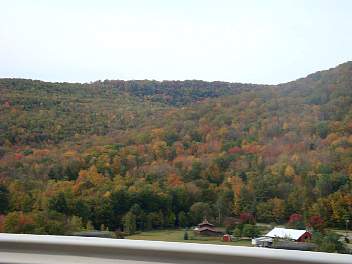 DSC08520.jpg