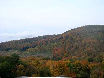 DSC08521.jpg