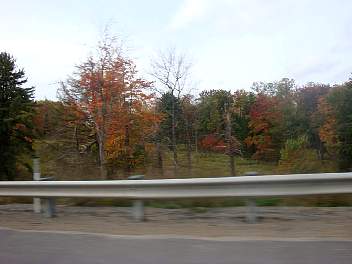 DSC08533.jpg