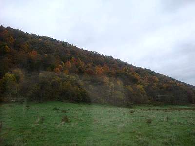 DSC06038MM.jpg